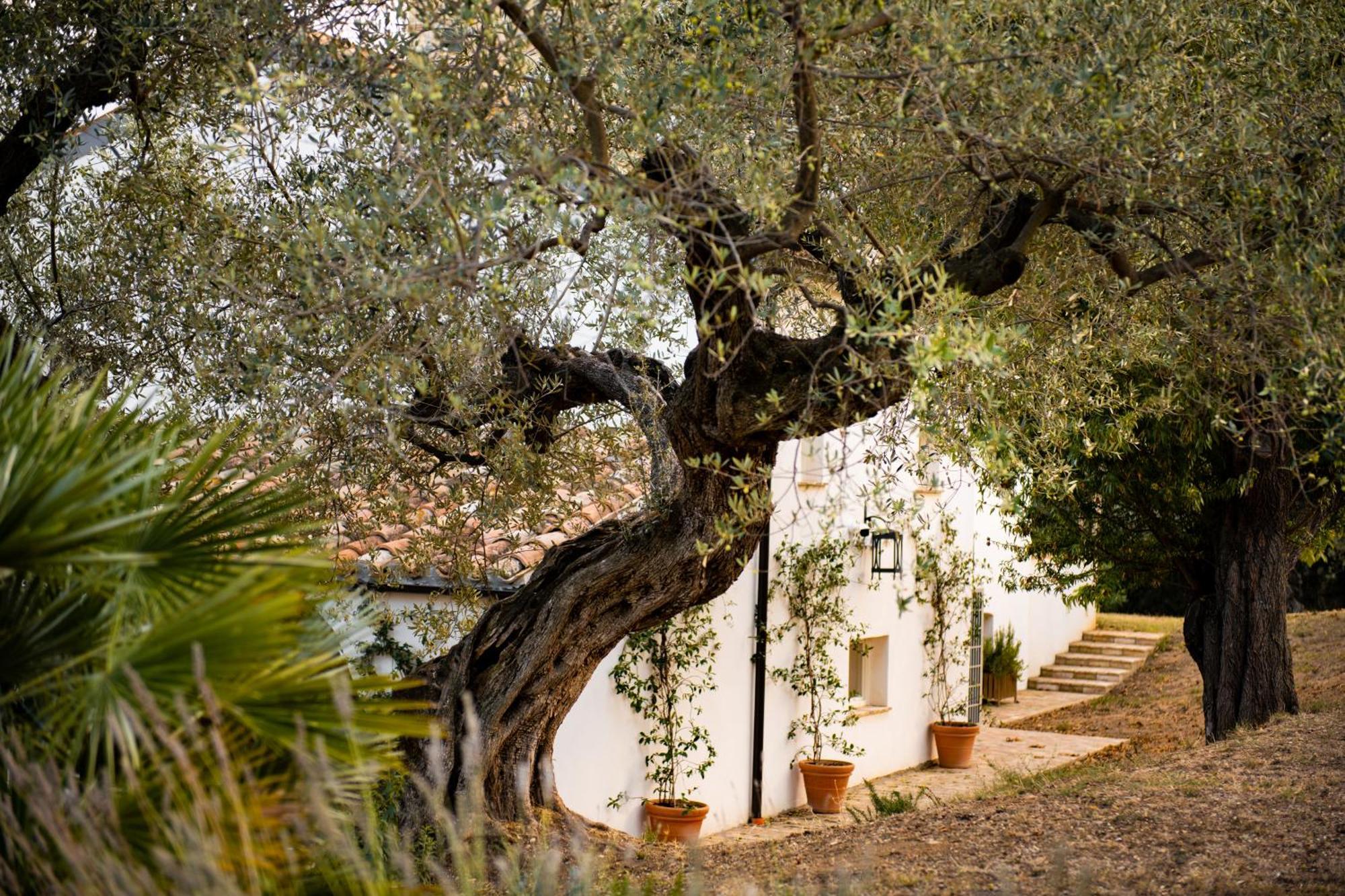 Casale Delle Lavande Чита' Сант'Анджело Екстериор снимка