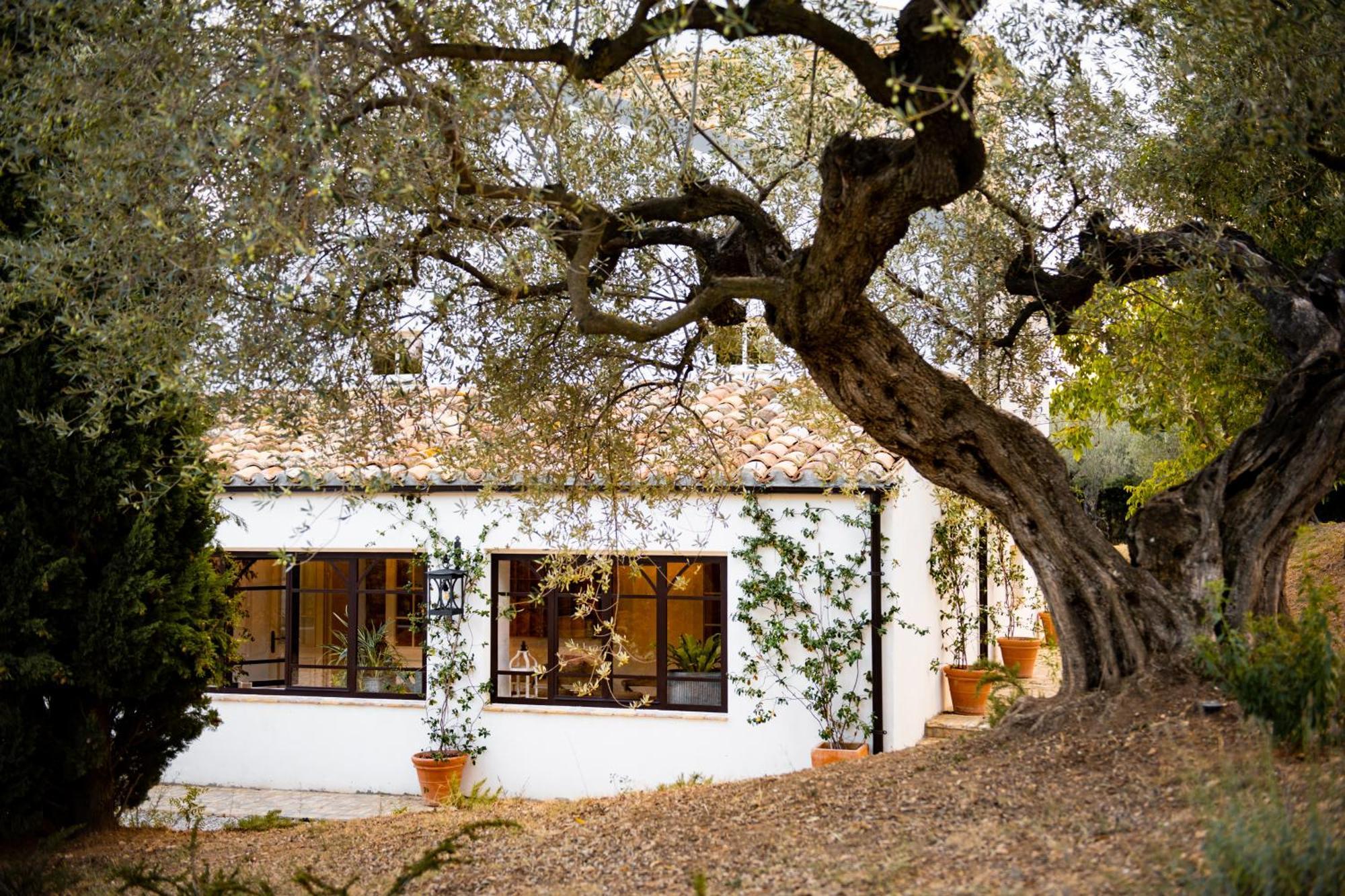 Casale Delle Lavande Чита' Сант'Анджело Екстериор снимка